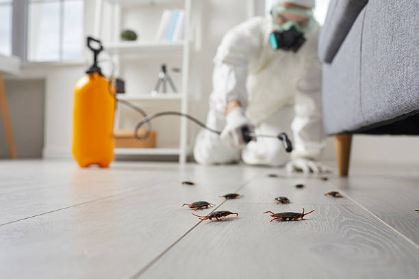 Post-Treatment Bed Bug Interceptor Monitoring in Bloomer